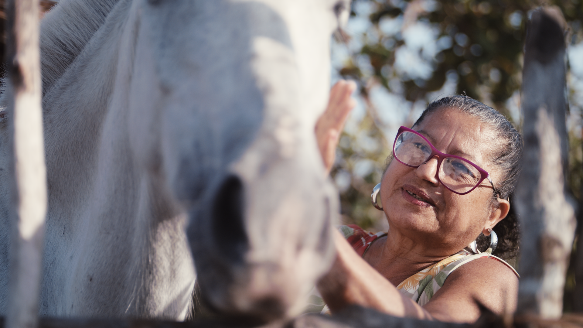 Patient Dona Maria Neide living in rural village Santa Amaro in Brazil